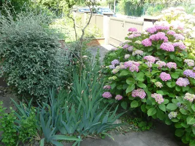 Jardin de l'établissement Liberation