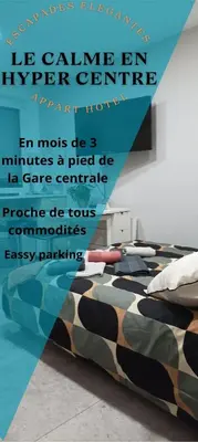 Plan de l'établissement Charmant studio en centre-ville