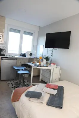 Télévision ou salle de divertissement dans l'établissement Charmant studio en centre-ville