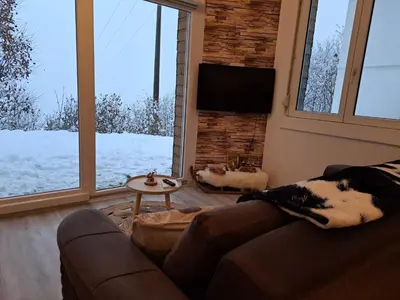 L'établissement Appartement calme La Bresse animaux admis en hiver