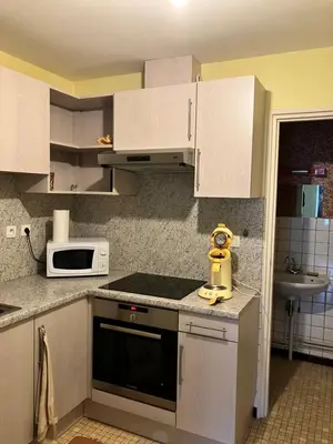 Cuisine ou kitchenette dans l'établissement Gîte spacieux 8 personnes - Saint Joseph des Bruyères 1814