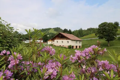 Jardin de l'établissement Les Chantenées