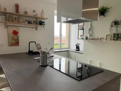 Cuisine ou kitchenette dans l'établissement La loupette