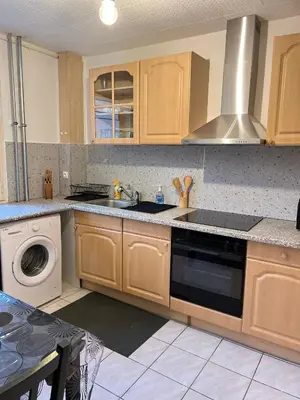 Cuisine ou kitchenette dans l'établissement CICONIA : CENTRE-VILLE MULHOUSE, PARC NOUVEAUX BASSINS A PROXIMITE