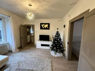 Télévision ou salle de divertissement dans l'établissement Charmant appartement de 3 pièces, Colmar