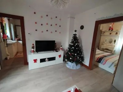 Télévision ou salle de divertissement dans l'établissement Charmant appartement de 3 pièces, Colmar