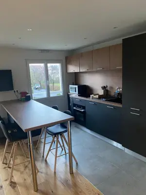 Cuisine ou kitchenette dans l'établissement Coco Room Colmar