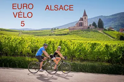 Vélo sur le terrain de l'établissement Près Colmar 6 bis ou dans les environs
