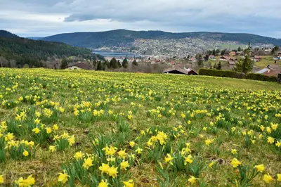 Vue générale sur la montagne ou vue sur la montagne depuis l'appartement