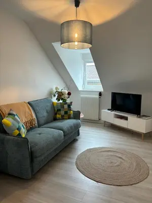 Télévision ou salle de divertissement dans l'établissement La Mulhousienne F3 Centre ville