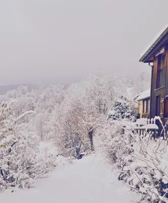 L'établissement Home - Retour aux sources en hiver