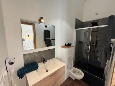 Salle de bains dans l'établissement Duplex le Red Cedar avec terrasse et jardin