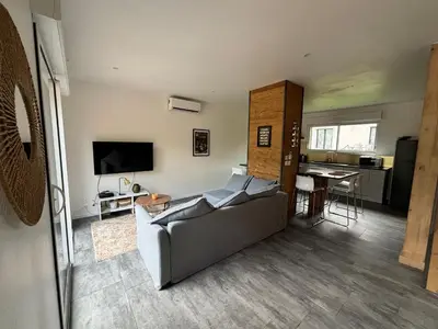 Télévision ou salle de divertissement dans l'établissement Duplex le Red Cedar avec terrasse et jardin