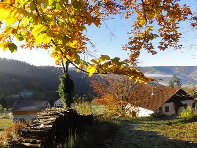 Paysage naturel près de l'appartement