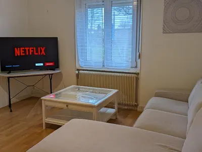 Télévision ou salle de divertissement dans l'établissement Le Bâlois - appartement 2 chambres, salon, cuisine équipée, parking et wifi gratuit