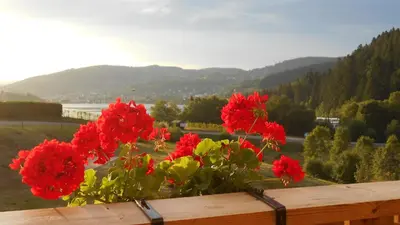 Paysage naturel près de l'appartement