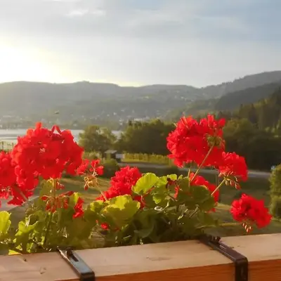 Gérardmer : appartement 43m2