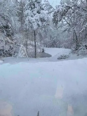 L'établissement Chalet en forêt avec etang. en hiver