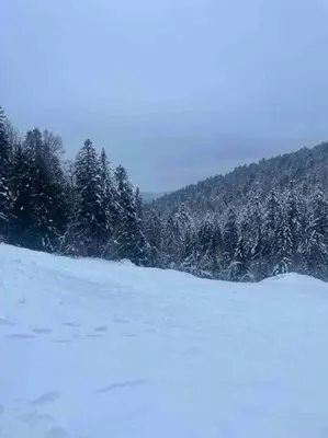 L'établissement Chalet en forêt avec etang. en hiver