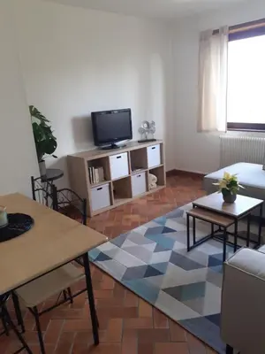 Télévision ou salle de divertissement dans l'établissement Gîte doux repos en campagne 10 min Colmar
