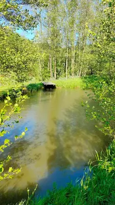 Paysage naturel près de la maison de vacances