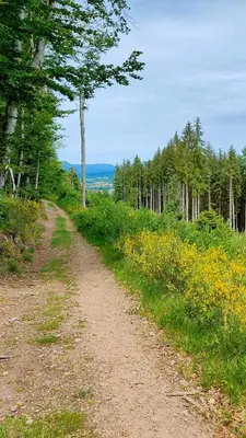 Paysage naturel près de la maison de vacances
