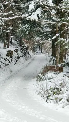 L'établissement Obordubleu en hiver