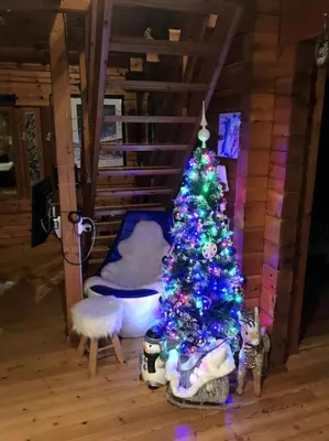Plan de l'établissement véritable chalet finlandais