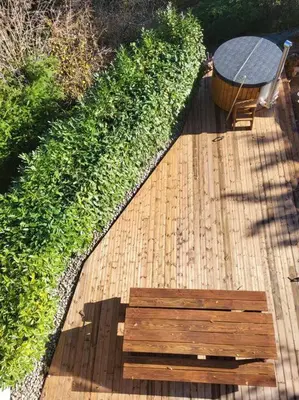 Jardin de l'établissement Gite 12 personnes proche Colmar