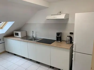 Cuisine ou kitchenette dans l'établissement Cozy Little One Room Appartment, a tranquil haven!