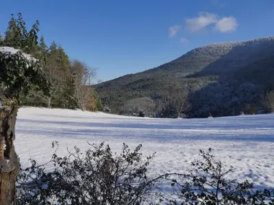 Paysage naturel près de la maison de vacances