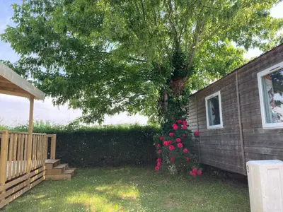 Jardin de l'établissement Mobile home