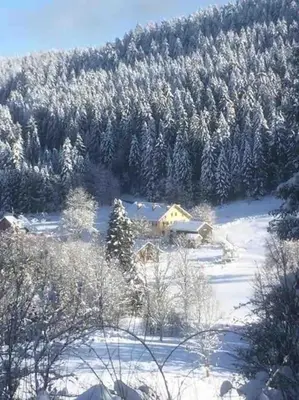 L'établissement Chalet Cosy Lisière de Forêt en hiver