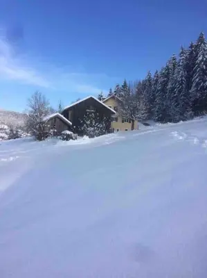 L'établissement Chalet Cosy Lisière de Forêt en hiver