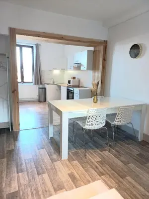 Cuisine ou kitchenette dans l'établissement Appartement Les Iris, au calme, proche du centre