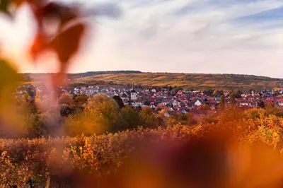 Paysage naturel près de l'appartement