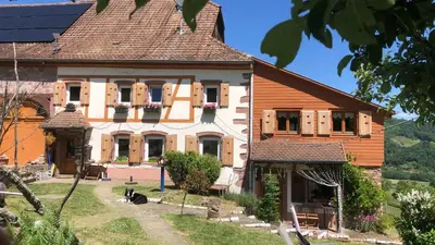 Jardin de l'établissement Maison pittoresque à Sainte-Croix-aux-Mines, vue sur la montagne