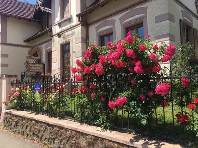 Jardin de l'établissement Gîte familial 6 personnes