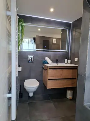 Salle de bains dans l'établissement Bel Appartement, Sélestat