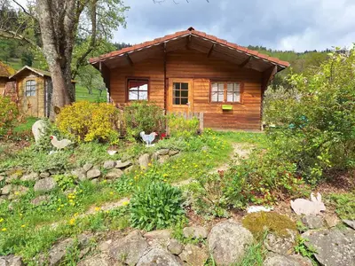 Jardin de l'établissement Le Repaire de Mitzerlé