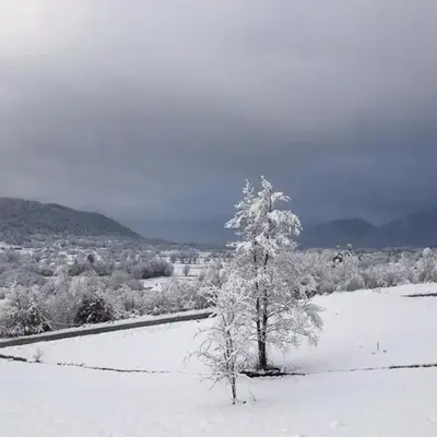 Gîte dans les Vosges Gite du Feing des Loges