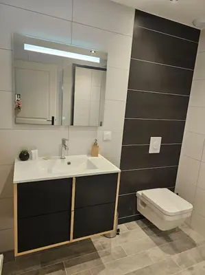 Salle de bains dans l'établissement appartement cosy à seloncourt