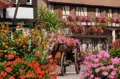 Jardin de l'établissement Maison chez Léa - grand gîte familial calme parking terrasse