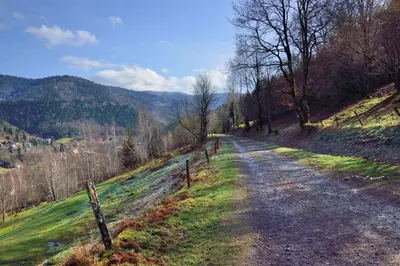 Paysage naturel près de le B&B/chambre d'hôtes