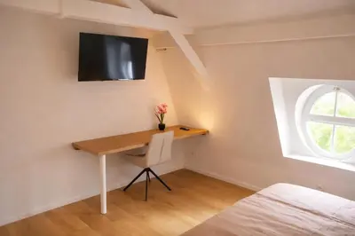 Télévision ou salle de divertissement dans l'établissement Mulhouse City Loft