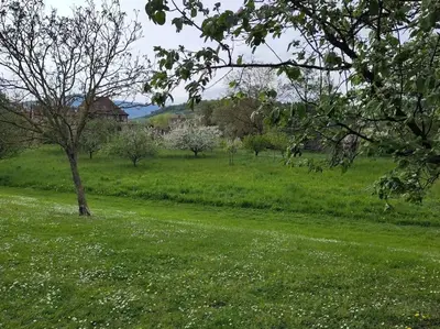 Paysage naturel près de la maison de vacances
