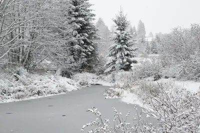 L'établissement ROULOTTE DU PERE NOEL en hiver