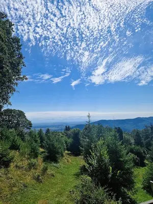 Paysage naturel près de l'appartement