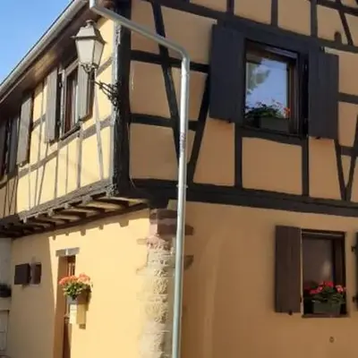 Coup de cœur en Alsace ! Proche Colmar et sur la route des Vins