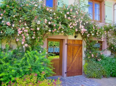 Jardin de l'établissement Gîte des Grands Clos
